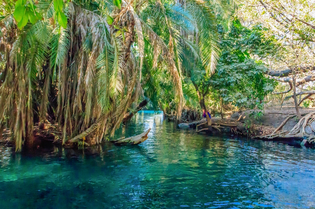 Kikuletwa hot spring Tanzania
