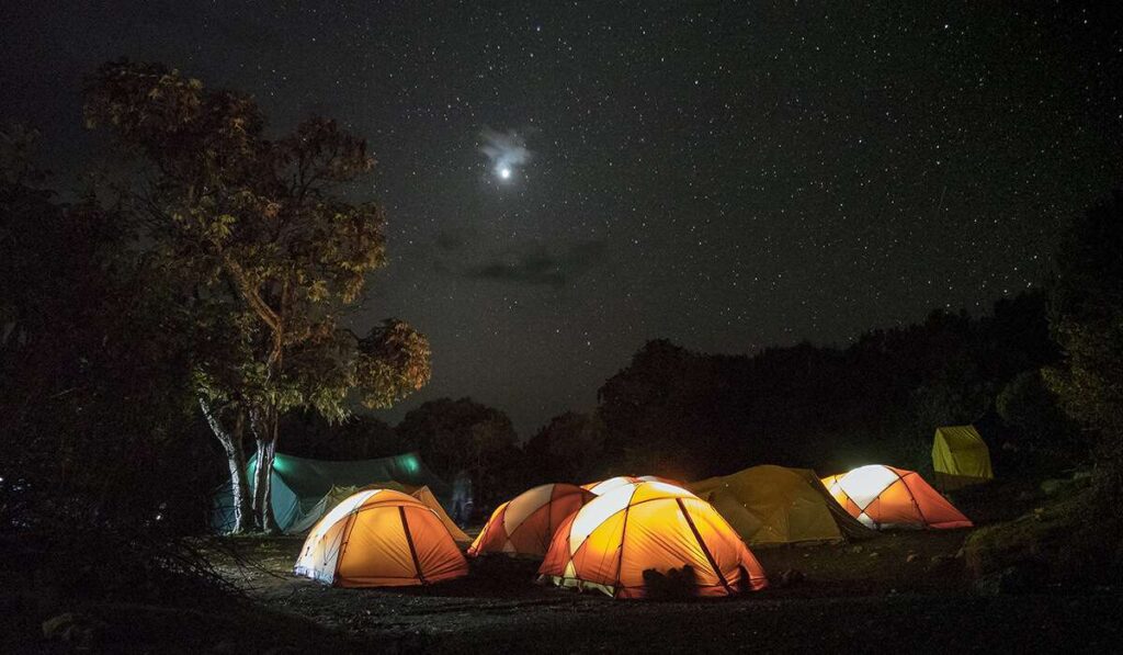 露营地的夜晚更冷 1 夜晚的露营地,星空下,几顶灯火通明的帐篷,映衬着雄伟的乞力马扎罗山。左侧矗立着一棵醒目的树,月光在近处闪耀。景色宁静祥和,周围环绕着茂密的天然树叶。——坦桑尼亚轻松旅行