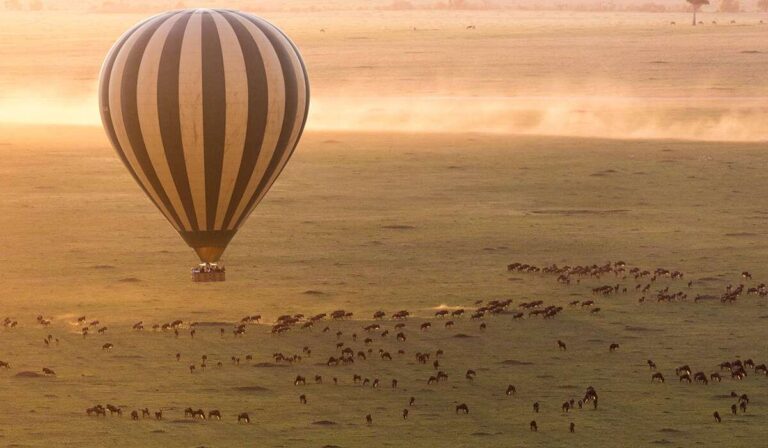 A hot air balloon with black and white stripes floats above the vast grassy expanse of the Serengeti. Below, a herd of animals is scattered across the landscape, as the warm glow of sunrise or sunset casts a golden hue over this breathtaking scene. - Easy Travel Tanzania