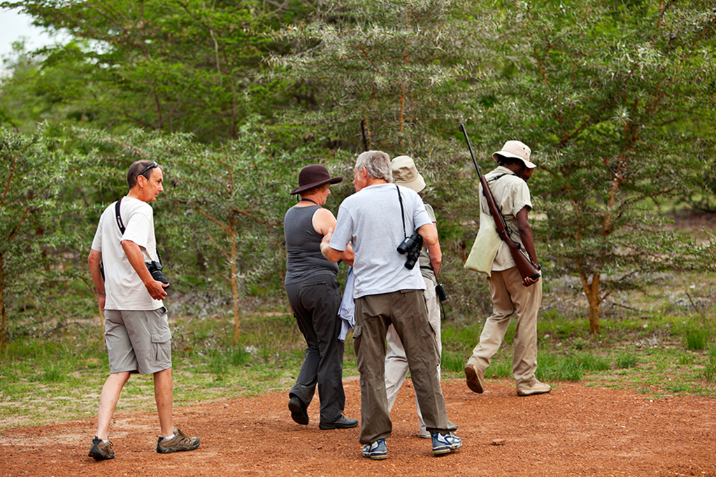 In a lush Tanzanian nature reserve, a group strolls through green trees and grass. A guide, bearing a rifle, leads the way as one person captures moments with a camera. Clad in casual outdoor attire, they blend effortlessly into this picturesque landscape. - Easy Travel Tanzania