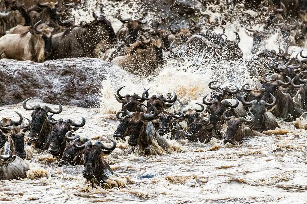 Things To Do In Tanzania