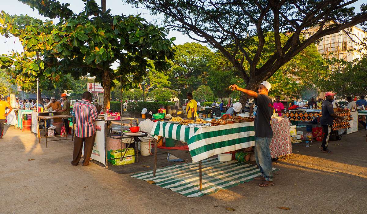 Tanzania - Your Ultimate Guide To Street food in Tanzania and How To Make It - How many animals in the Serengeti?