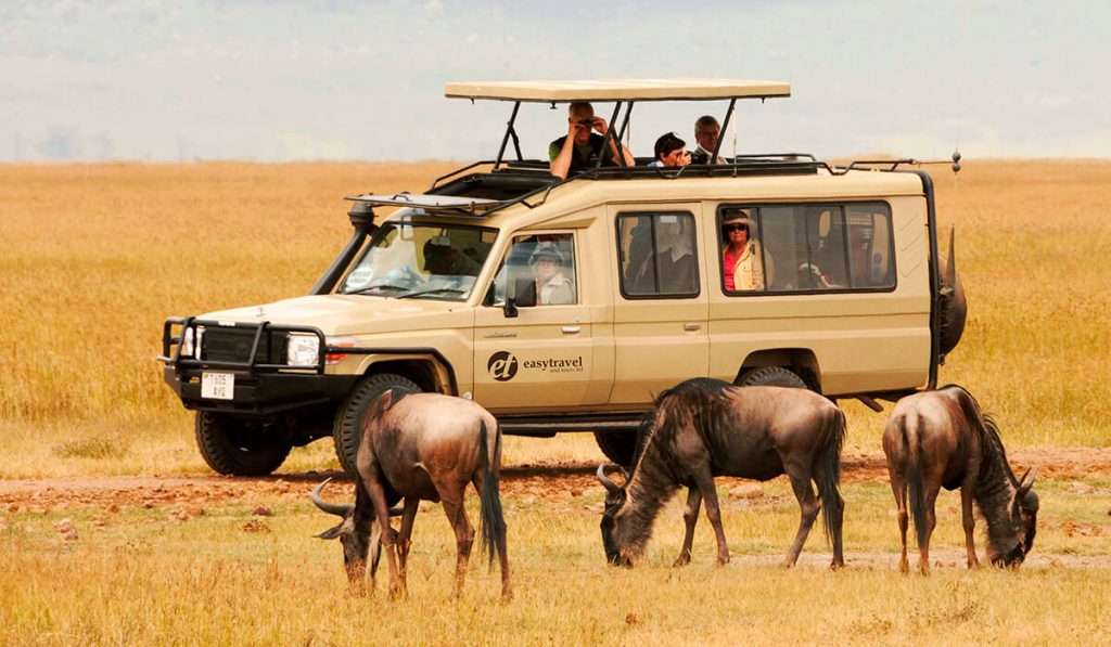 坦桑尼亚 - 负担得起的野生动物园之旅 - 预算有限的塞伦盖蒂：真的有可能吗？