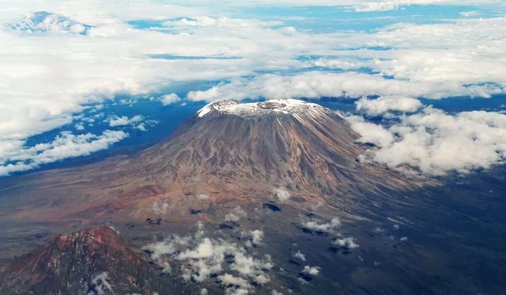 Tanzania - de hoogste boom van Afrika - top 20 interessante feiten over de Kilimanjaro