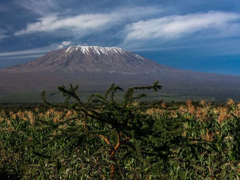 Tanzania - ben ik fit genoeg om de Kilimanjaro te beklimmen - blog | Kilimanjaro berg