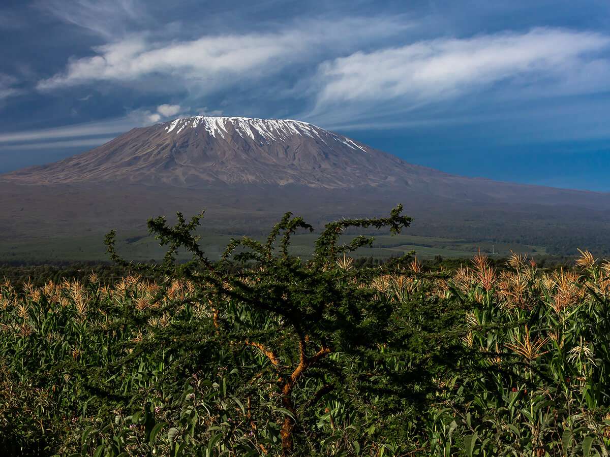 Tanzania - am i fit enought to climb mount kilimanjaro - How many animals in the Serengeti?