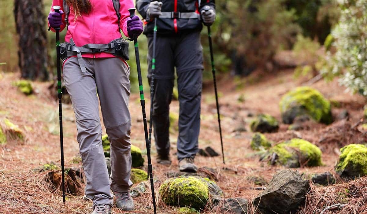 Hikers with trekking poles