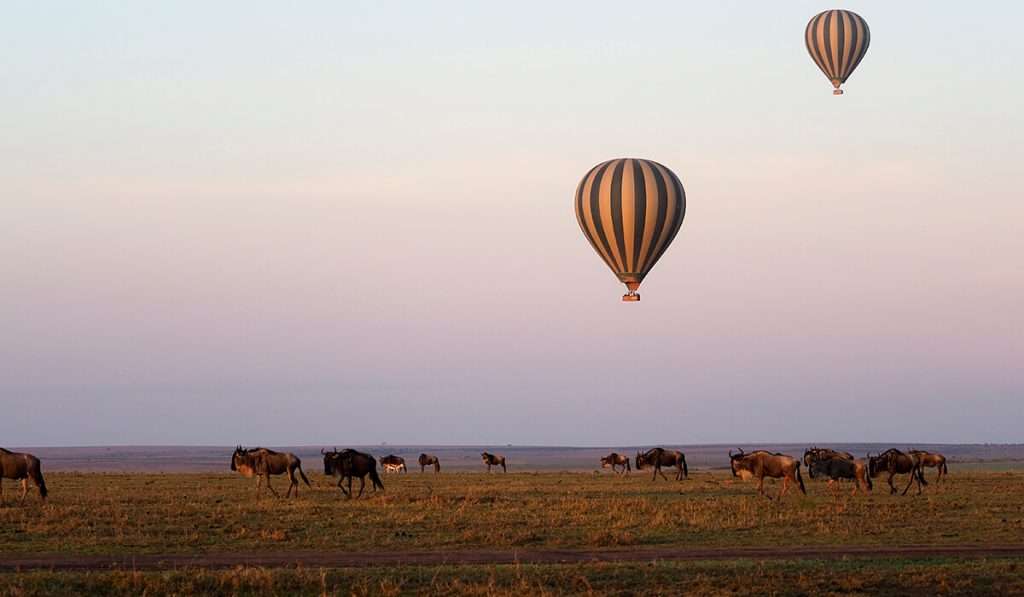 Tanzania - hot air balloon safari - when is the best time to see the great migration
