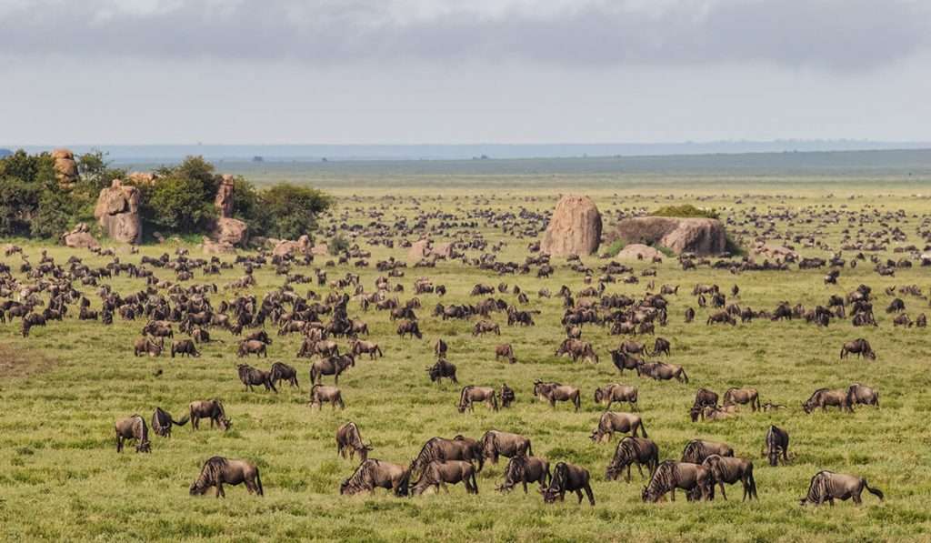 Geologie van de Serengeti