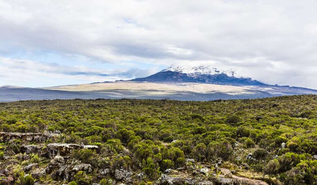 Tanzania - lemosho route 1 - ben ik fit genoeg om de Kilimanjaro te beklimmen?
