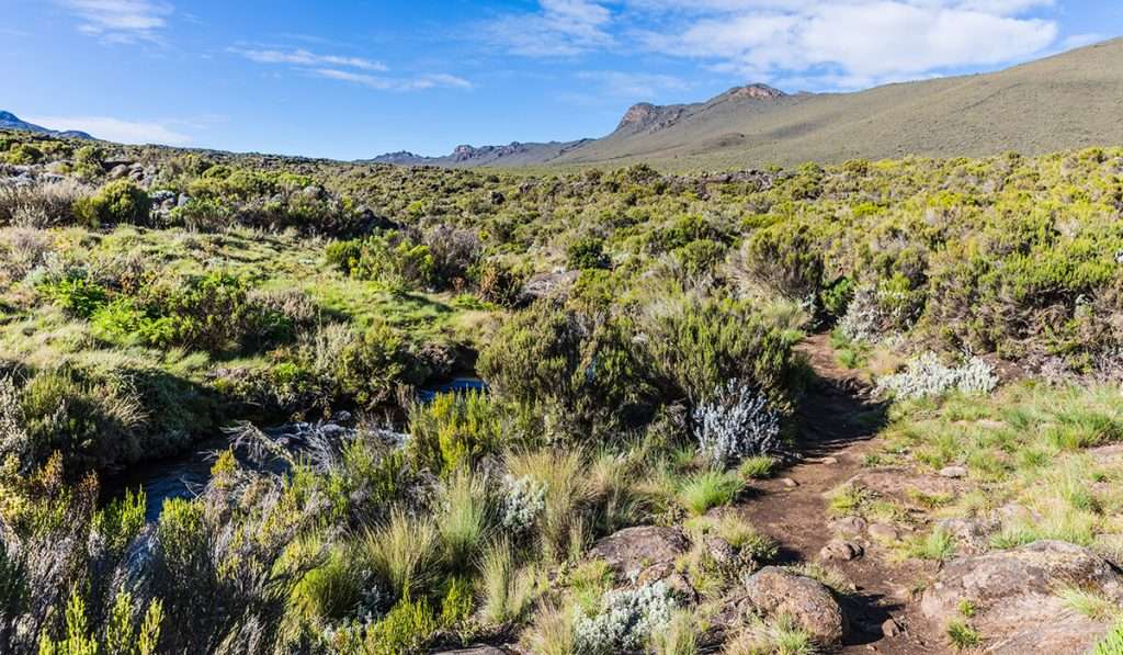 Tanzanie - route lemosho - quelle est la meilleure route pour gravir le mont Kilimandjaro ?