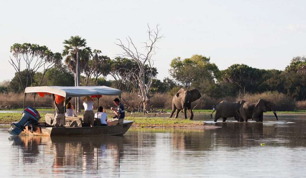 Tansania - Nyerere Nationalpark - der ultimative Führer zu den Nationalparks in Tansania