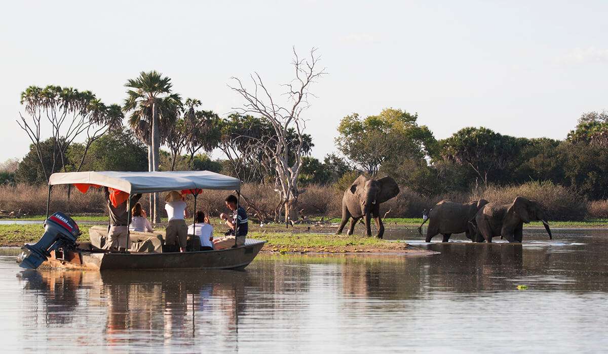 Tansania - Nyerere-Nationalpark - Tansania-Safari