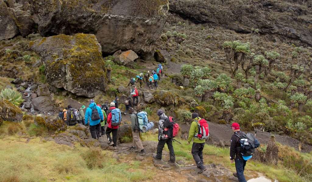 Tanzania - pick your route careful - A simple guide to climbing mount Kilimanjaro: All you need to know