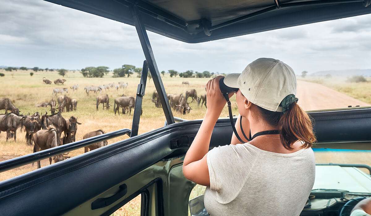 Tanzania - safety on game drives - safety