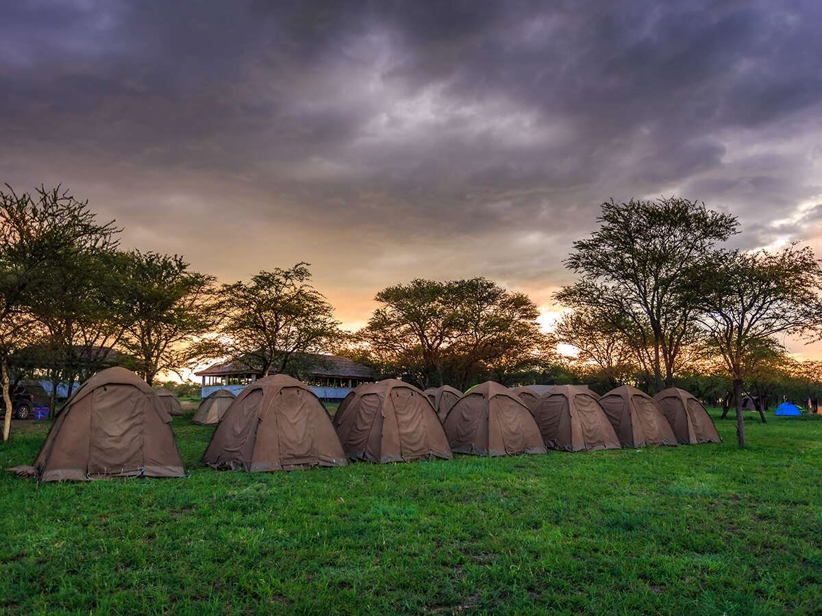Tanzania - serengeti on budget - the serengeti on a budget: is it really possible?
