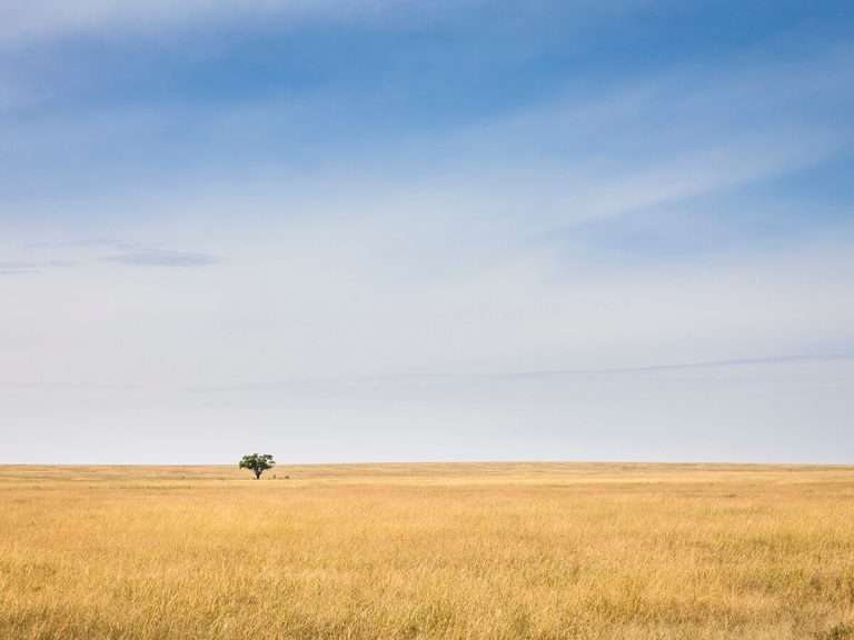 Tansania - Besonderes über den Serengeti-Nationalpark - Blog | Tansania-Safari