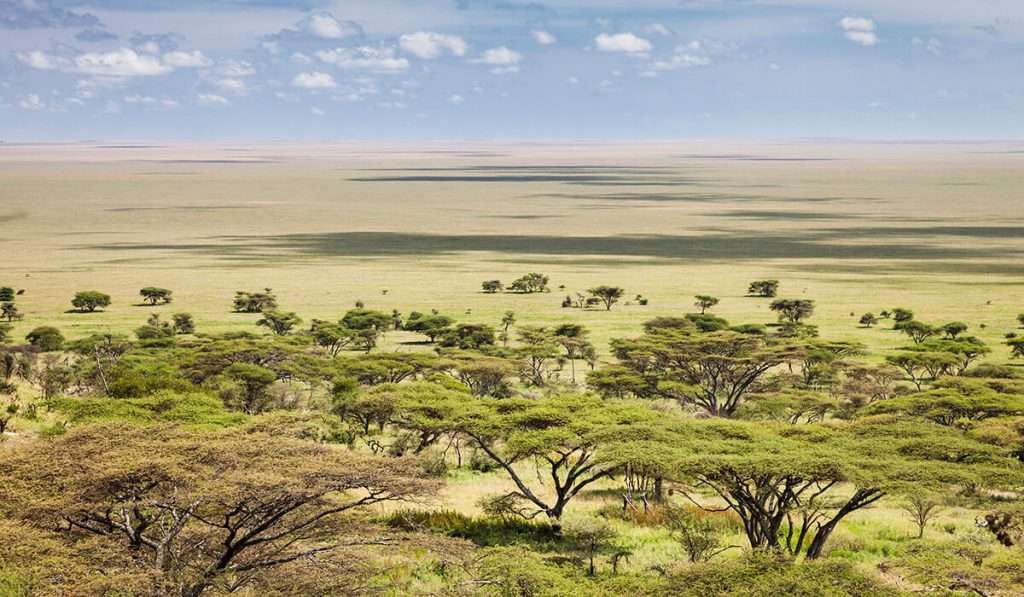 Tanzania - the origin of serengeti national park - History of the Serengeti National Park