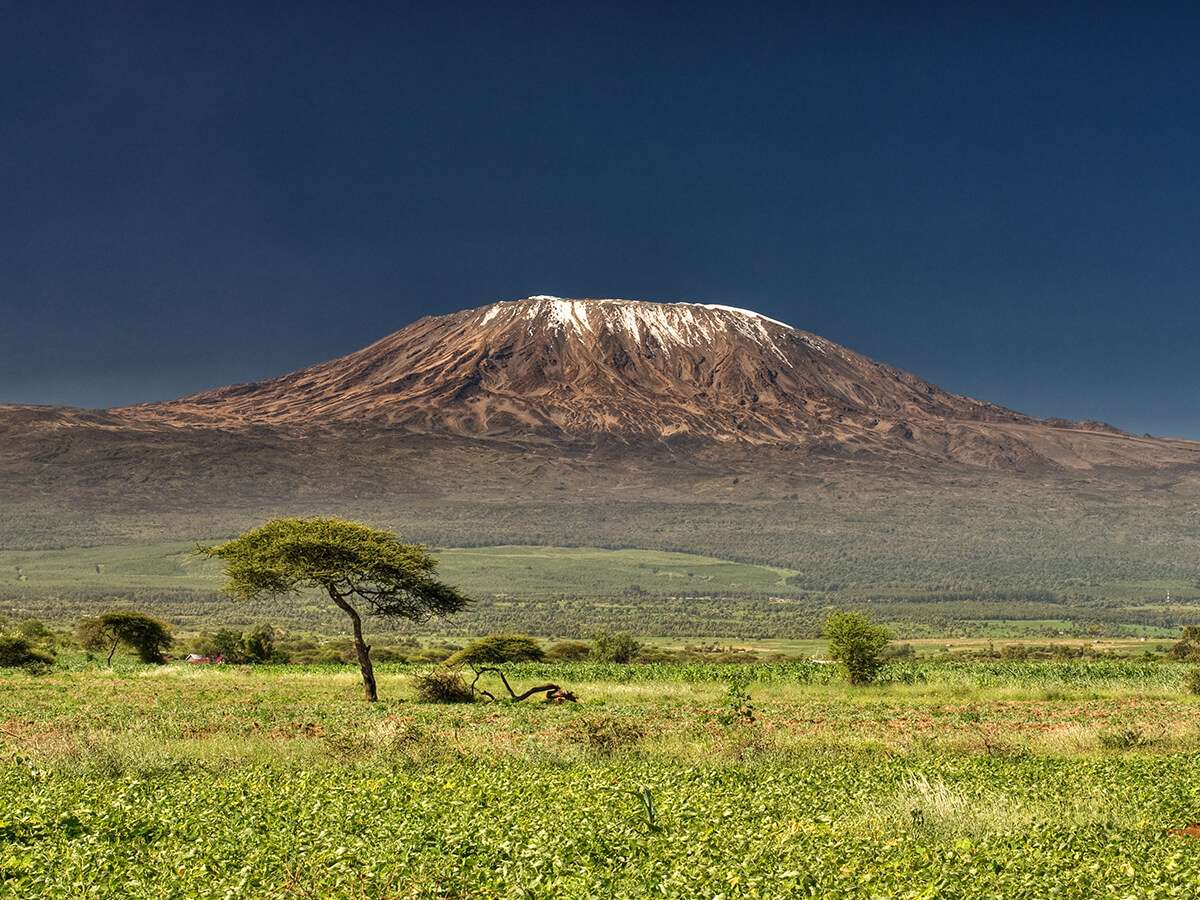 Tanzania - things before climb mount kilimanjaro - How many animals in the Serengeti?