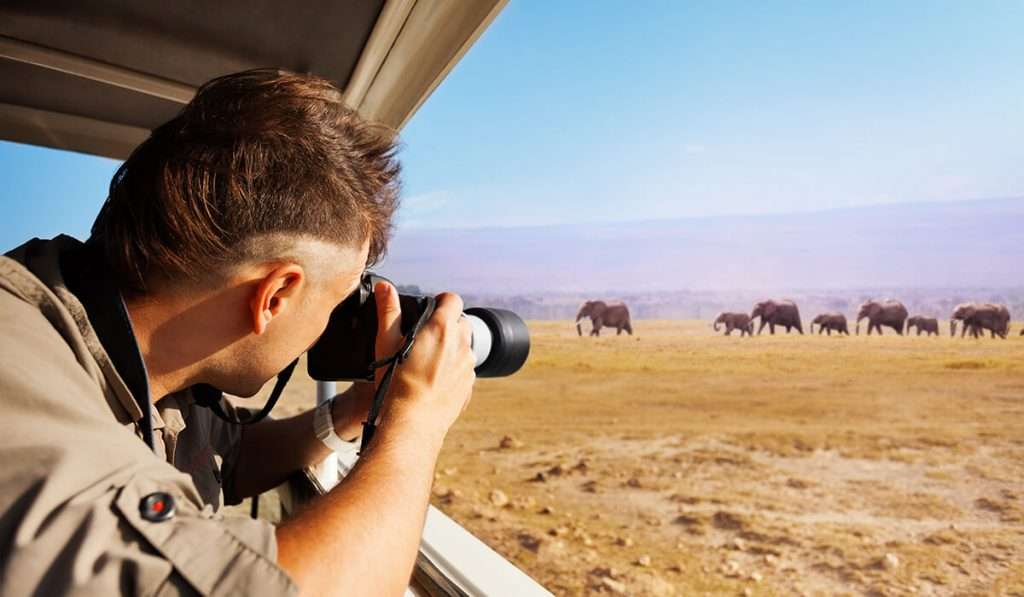 Tansania - gehen Sie auf Pirschfahrten die klassische Tansania-Safari - Ihre Safari nach Tansania: der ultimative Safari-Guide
