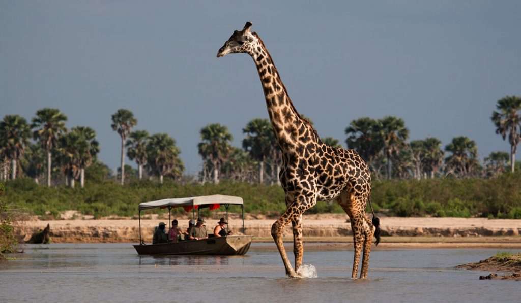 Tanzanie - Selous Game Reserve - 10 aventures tanzaniennes abordables pour les étudiants à petit budget