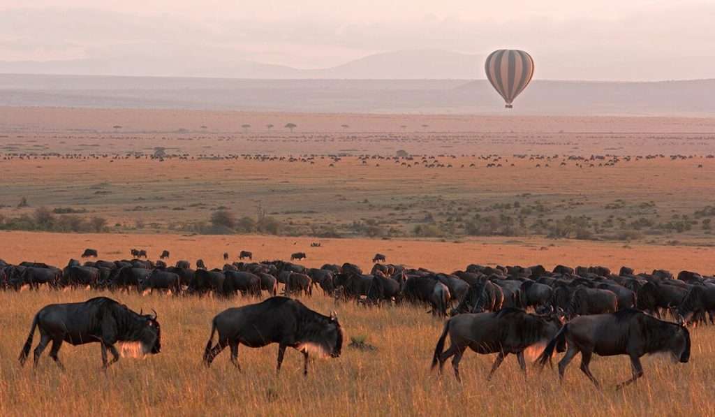 Tanzania - serengeti beyond the great migration - history of the serengeti: why is it so special?