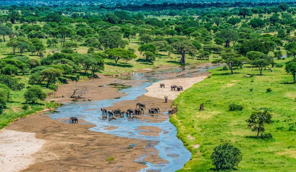 Tanzania - parque nacional de tarangire - 10 aventuras tanzanianas asequibles para estudiantes con un presupuesto limitado