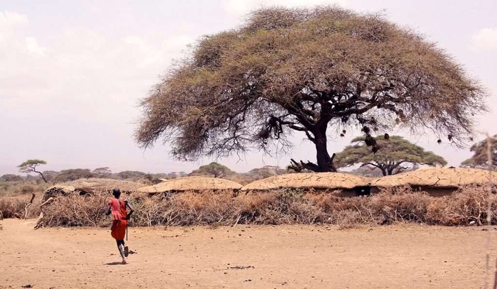 Tanzania: puedes visitar el pueblo maasai o la tribu maasai. - 10 cosas que vale la pena saber sobre el serengeti