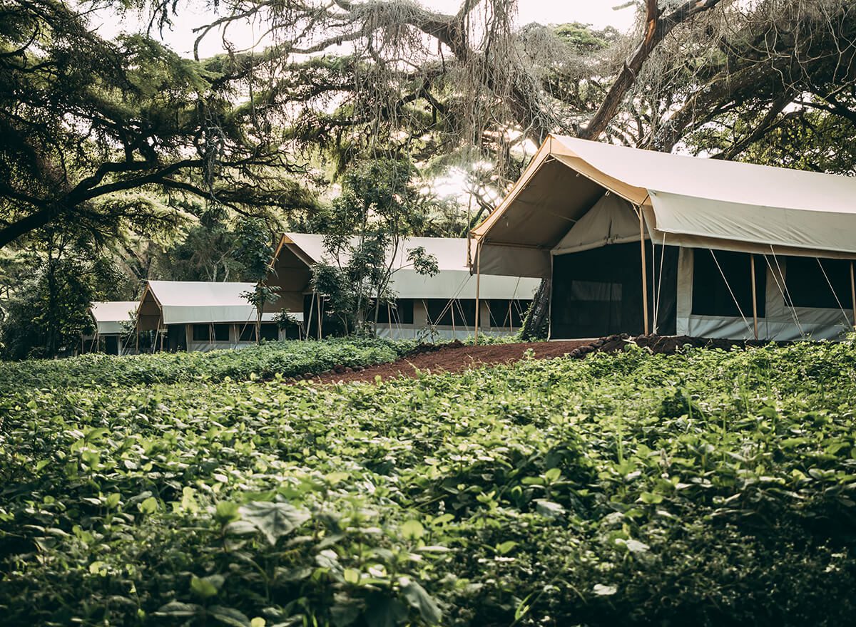 Tansania - ngorongoro tortilis camp ansicht - tansania safari
