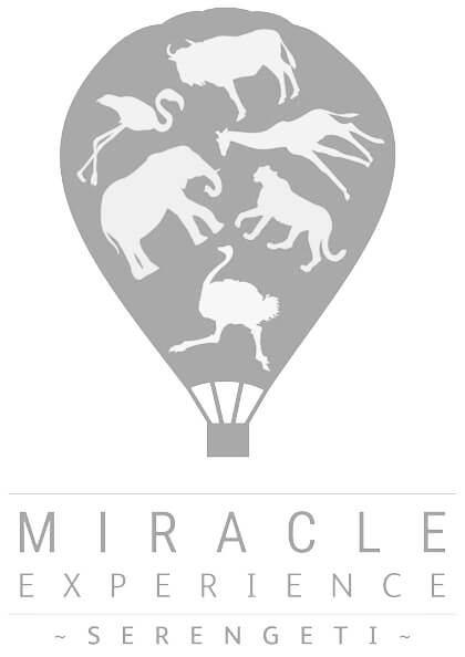 Tanzania - logotipo de la experiencia milagrosa - acreditaciones - nuestra misión y con quién trabajamos