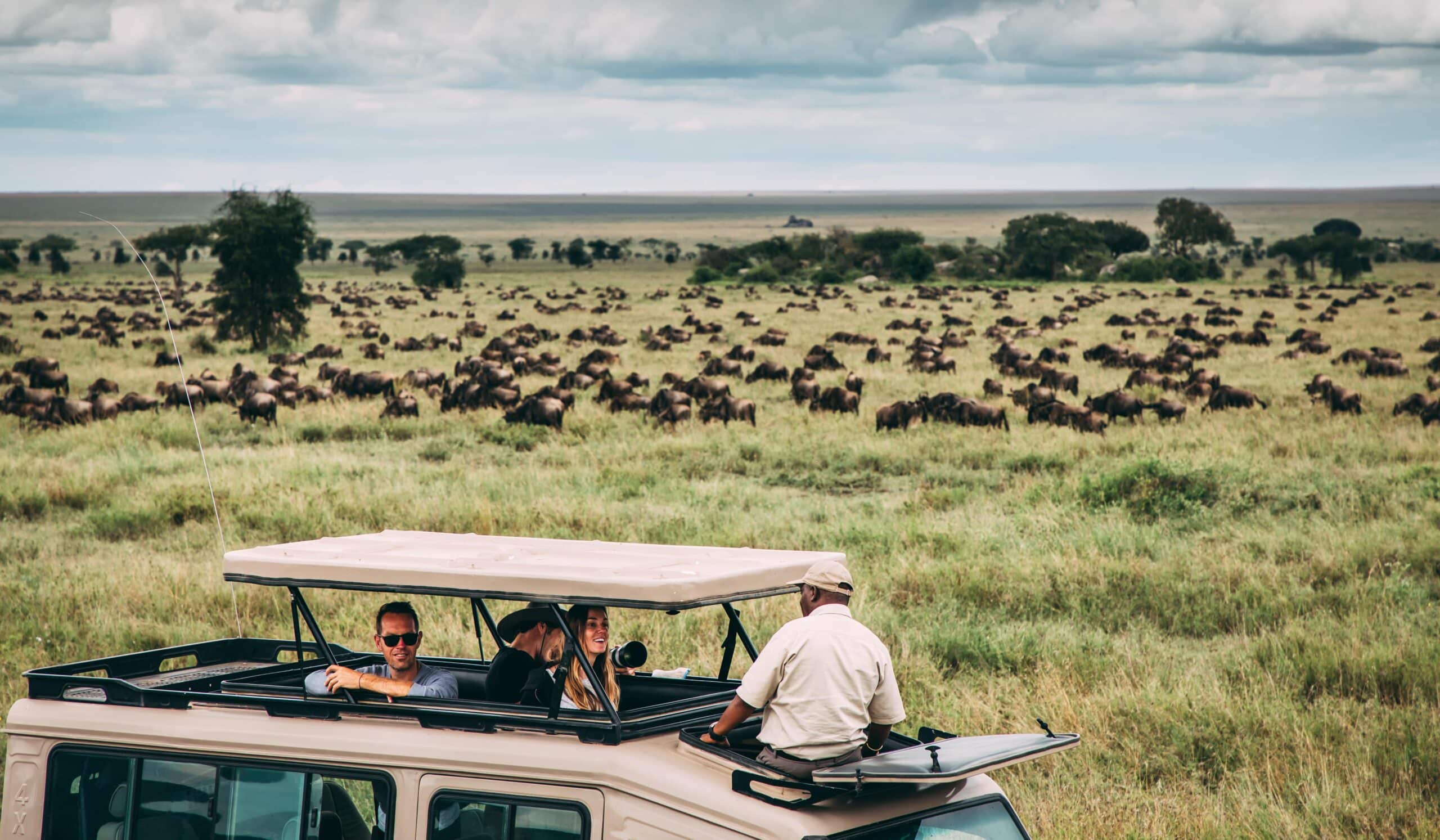 Tanzania - beste tijd om Tanzania min geschaald te reizen - safari in Tanzania