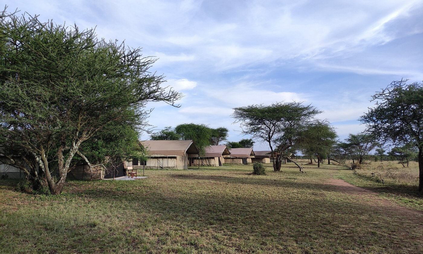 <a href="https://www. Easytravel. Co. Tz/accommodation/thorntree-camp/">Thorntree-Camp</a>