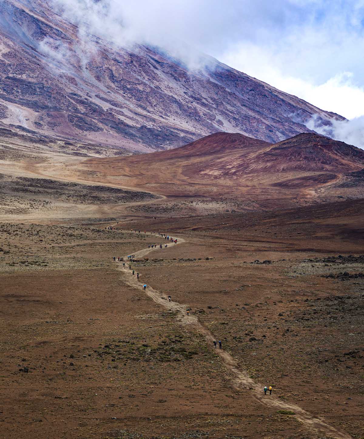 Tansania - lemosho route kilimanjaro - kilimanjaro besteigen