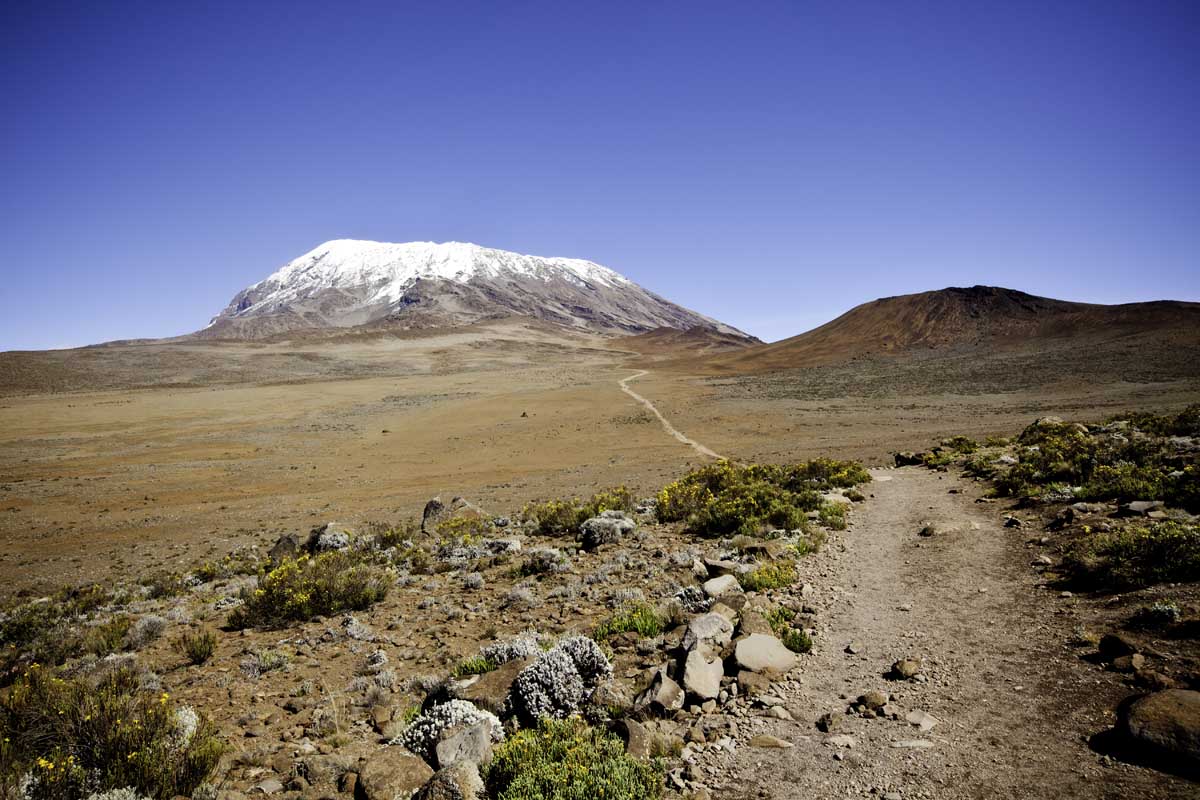 Tansania - Marangu-Route Kilimandscharo - Kilimandscharo besteigen