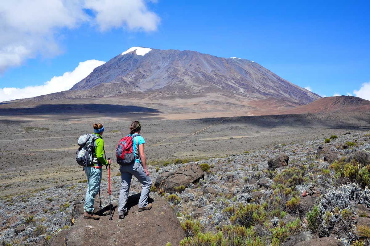 Tanzania - privé kilimanjaro trektochten 1 - beklim de kilimanjaro