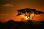 Tanzanie - coucher de soleil du Serengeti - ascension du Kilimandjaro