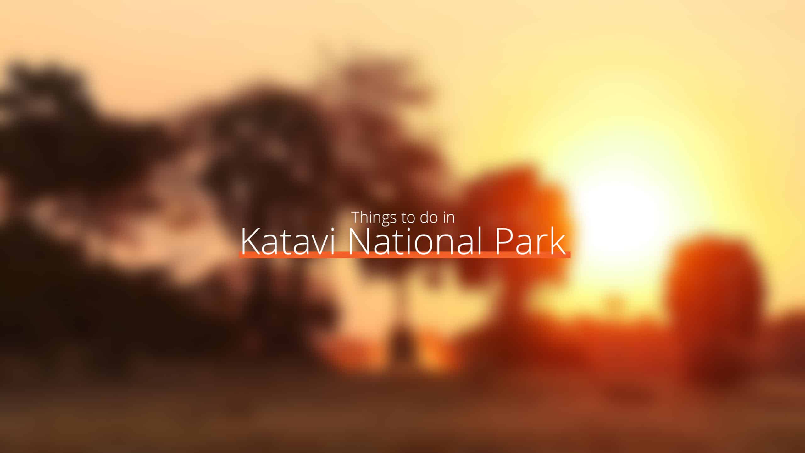 Katavi national park