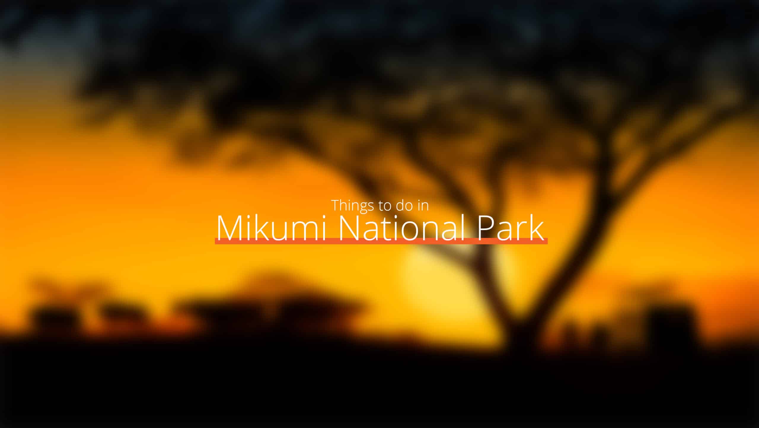 坦桑尼亚 - mikumi 国家公园 1 缩放比例 - 西部赛道的去处