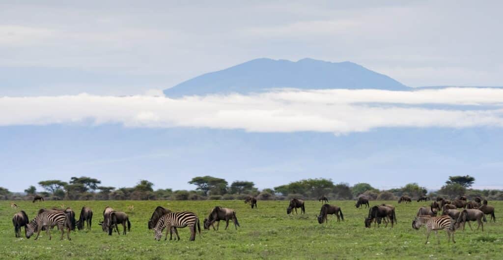 坦桑尼亚 - ndutu 轻松旅行 坦桑尼亚 min - 豪华游猎