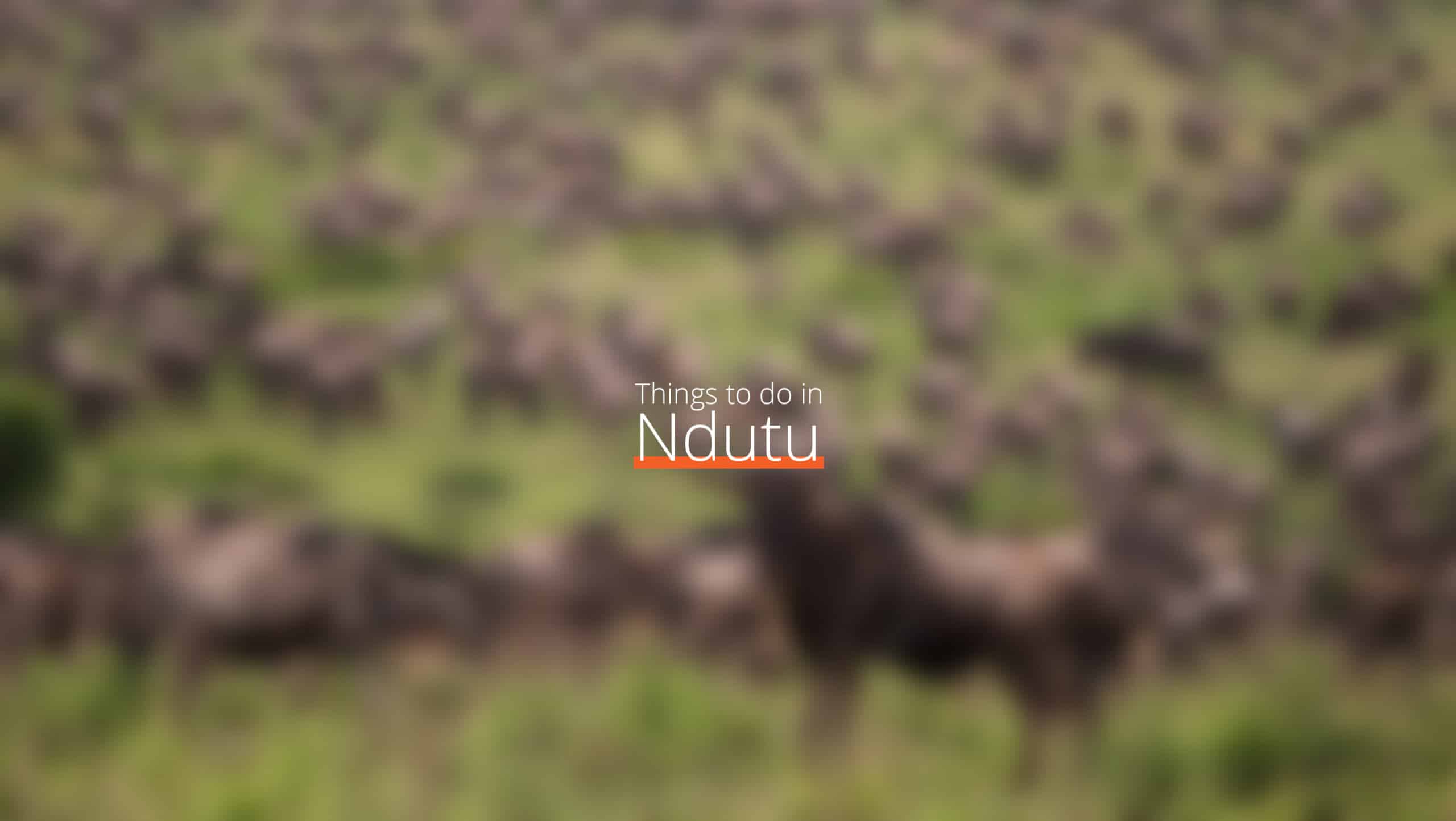 Tanzania - escala ndutu - octubre