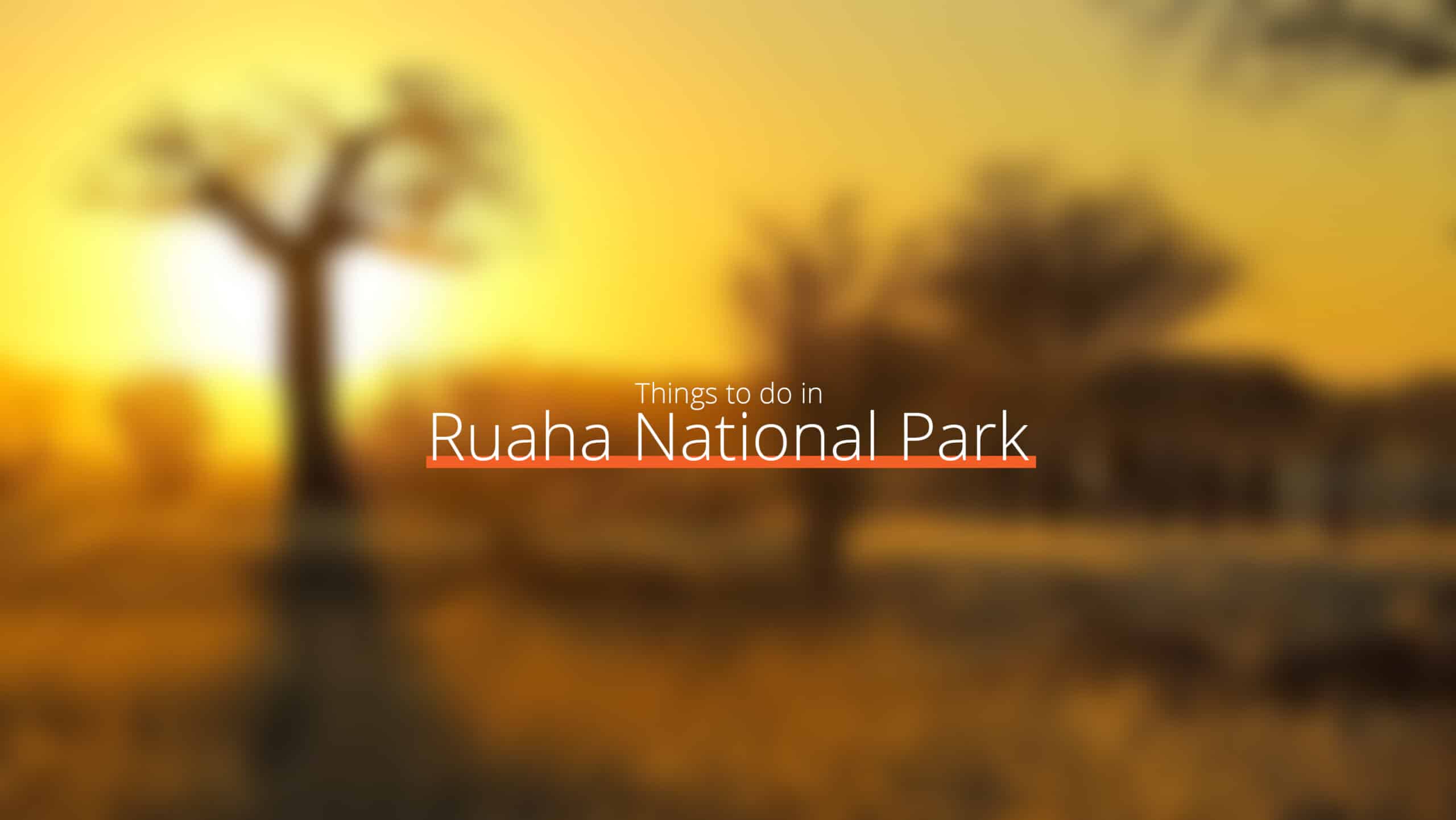 Tanzania - ruaha nationaal park geschaald - waar te gaan in het westelijke circuit