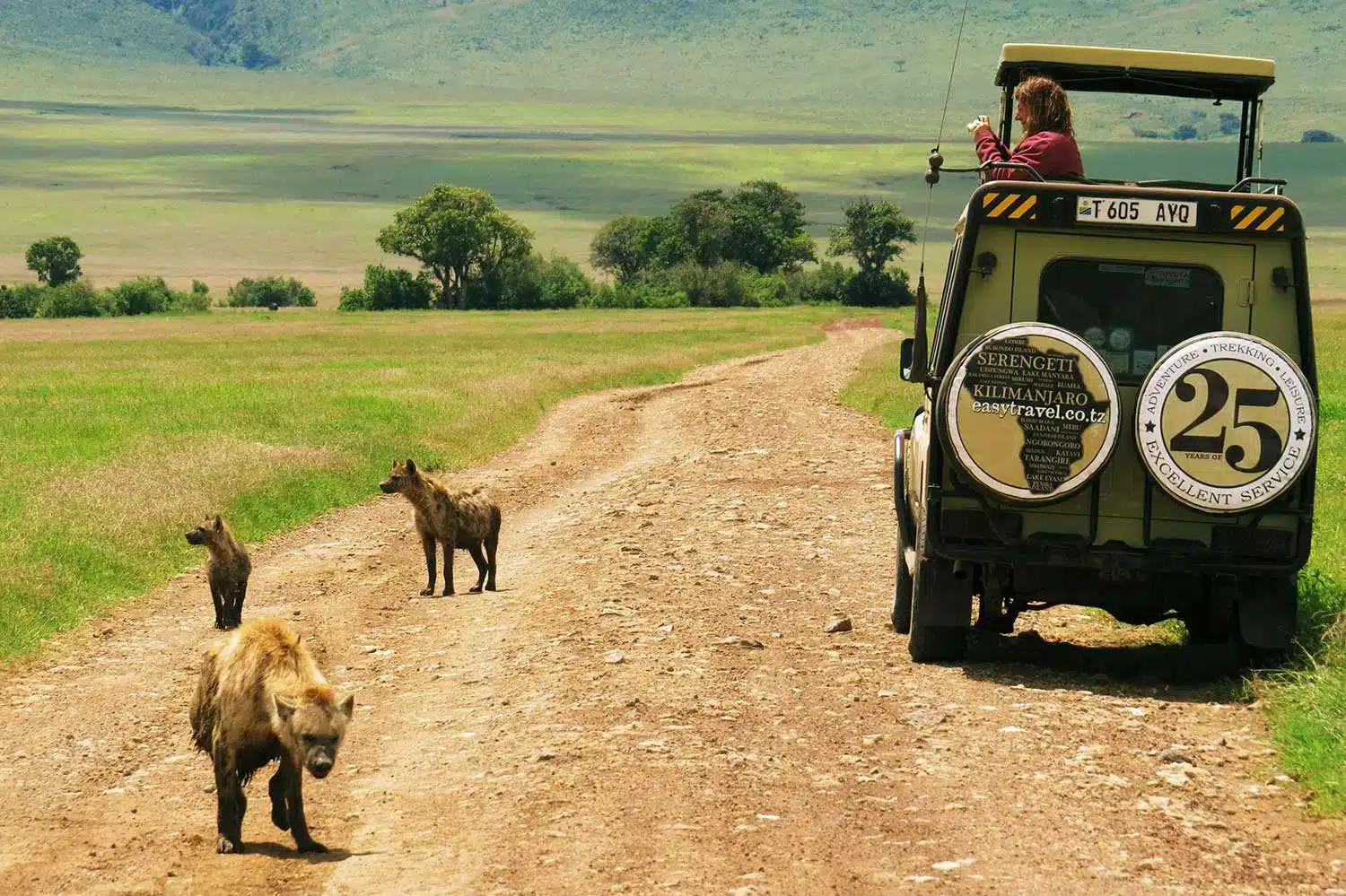 tanzania - spl13 - cinco grandes safaris