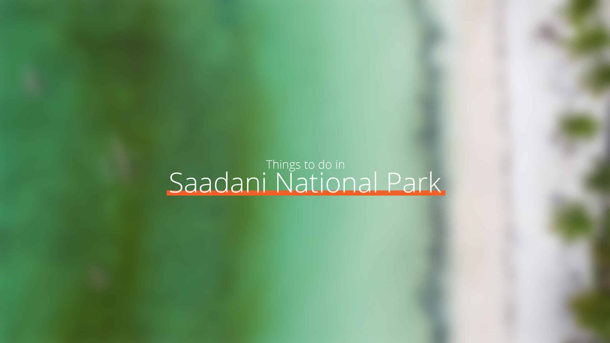 坦桑尼亚 - 萨达尼国家公园规模扩大 - 东部环线的去处