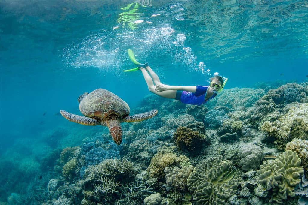Snorkel or dive in the coral reefs.