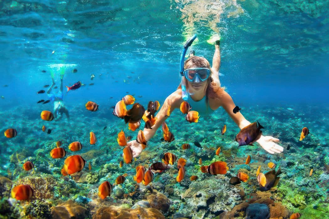 Snorkeling and diving