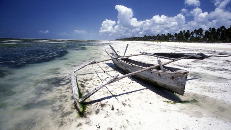 10 redenen om Bwejuu Beach te bezoeken
