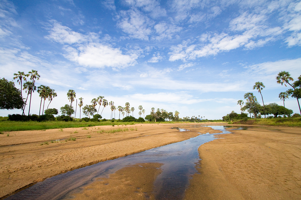 Ein malerisches Flussbett im Ruaha-Nationalpark, Tansania