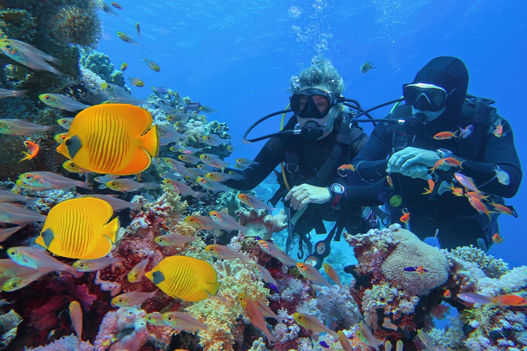 A tourist couple diving at Pemba Island, Tanzania.