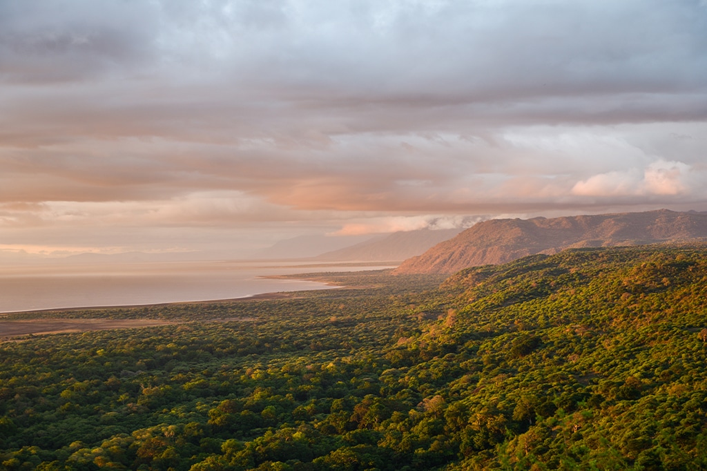 Aerial view of Lake Manyara National Park, Tanzania
