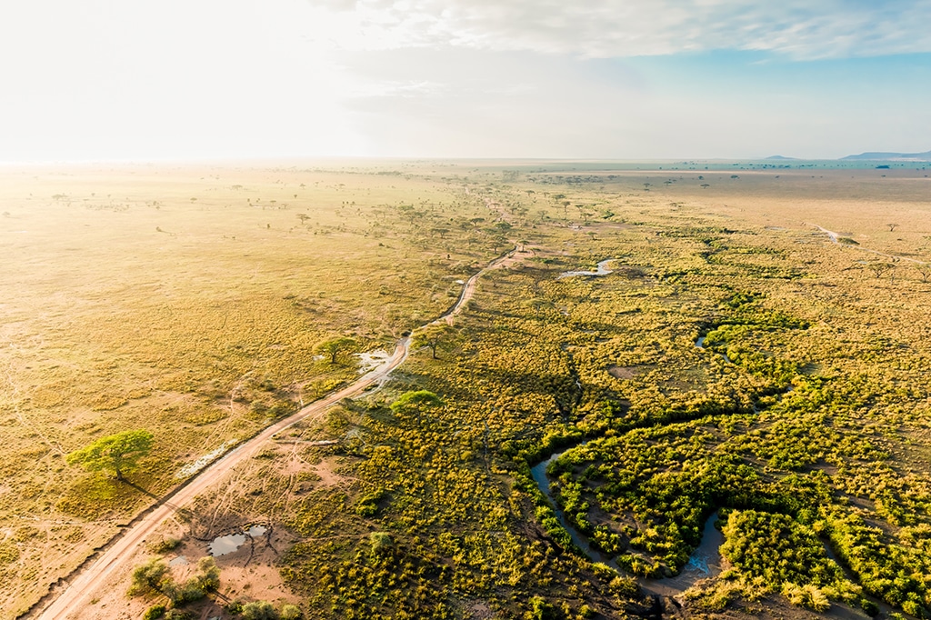 Aerial view of serengeti landscape at golden hour, tanzania